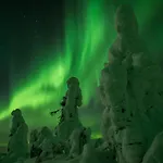Raekkipirtti