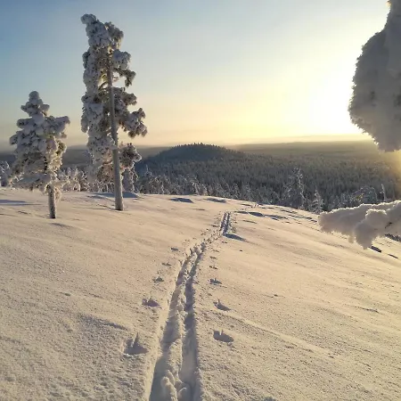 Raekkipirtti Шале Луосто