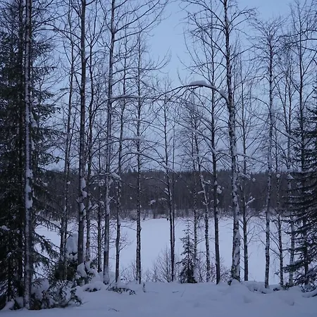 Raekkipirtti Шале