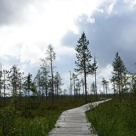 Raekkipirtti Chalet Luosto