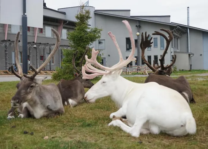 Raekkipirtti * Luosto