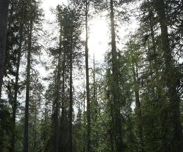 Raekkipirtti Horská chata Luosto