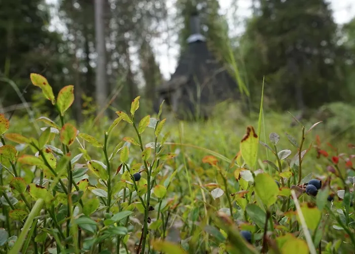 Raekkipirtti * Luosto